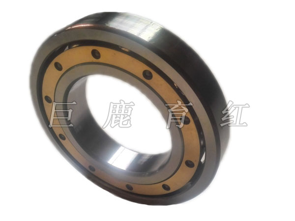 TR100 Bearing  29502027