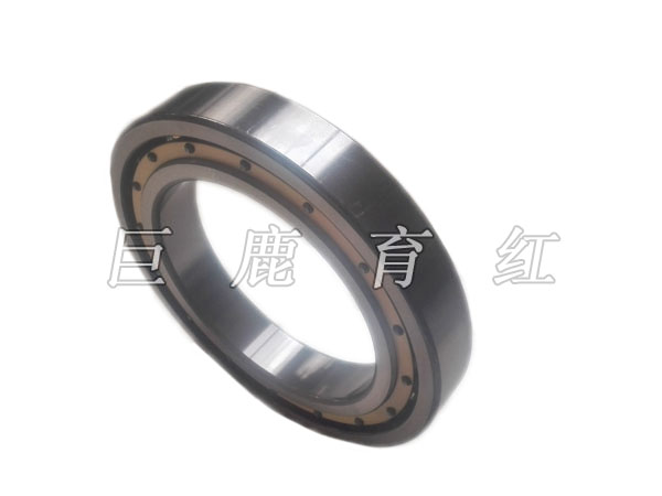 TR100 Bearing  23048005